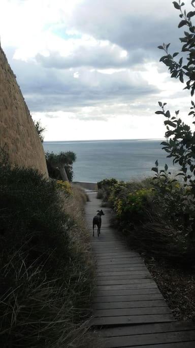 Appartamento La casita azul Alicante Esterno foto